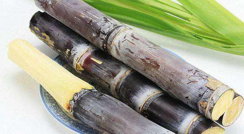 吃甘蔗.jpg 吃甘蔗.jpg