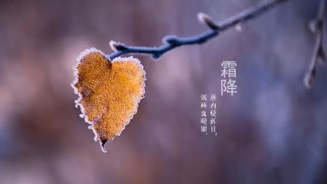 霜降.jpg 霜降.jpg