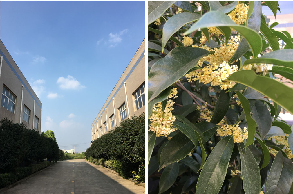 得潤電氣 出口成套高低壓開關(guān)柜 配電柜 聯(lián)系電話:400-0551-777 qq:3176885416 得潤電氣 出口成套高低壓開關(guān)柜 配電柜 聯(lián)系電話:400-0551-777 qq:3176885416